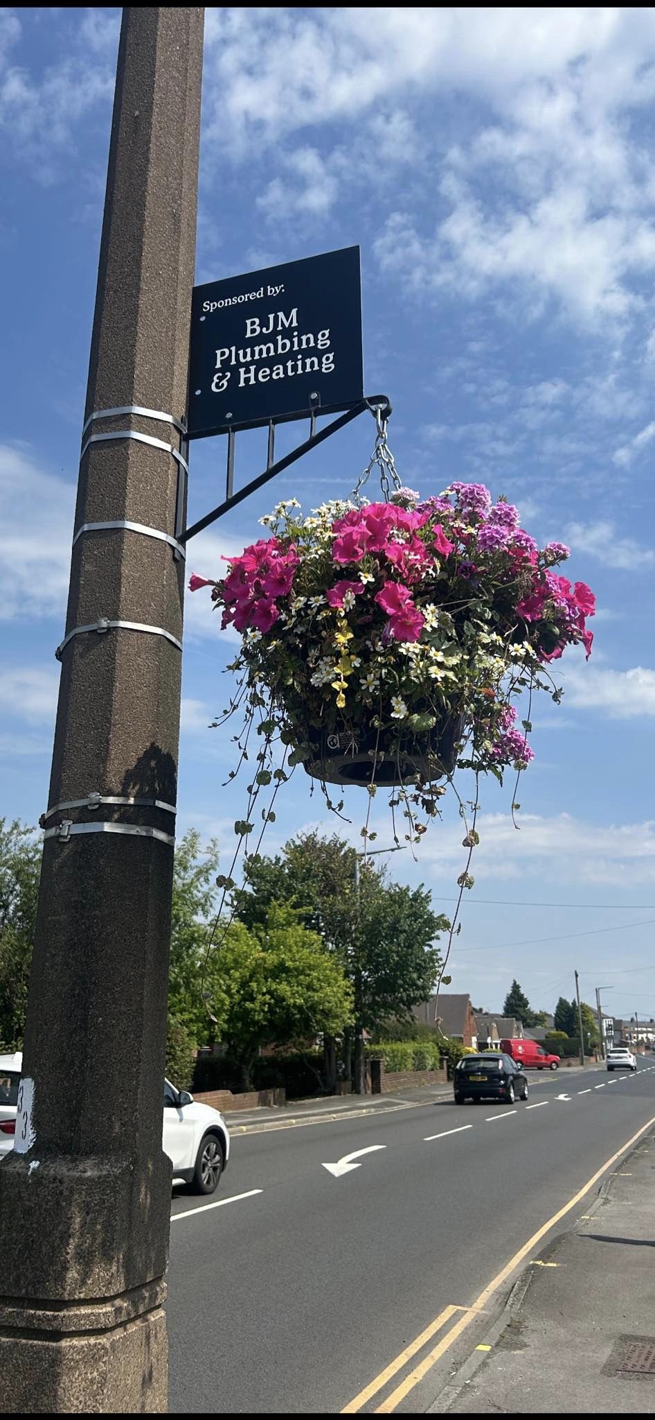 BJM PLumbing and heating's Hanging basket of flowers in Dodworth